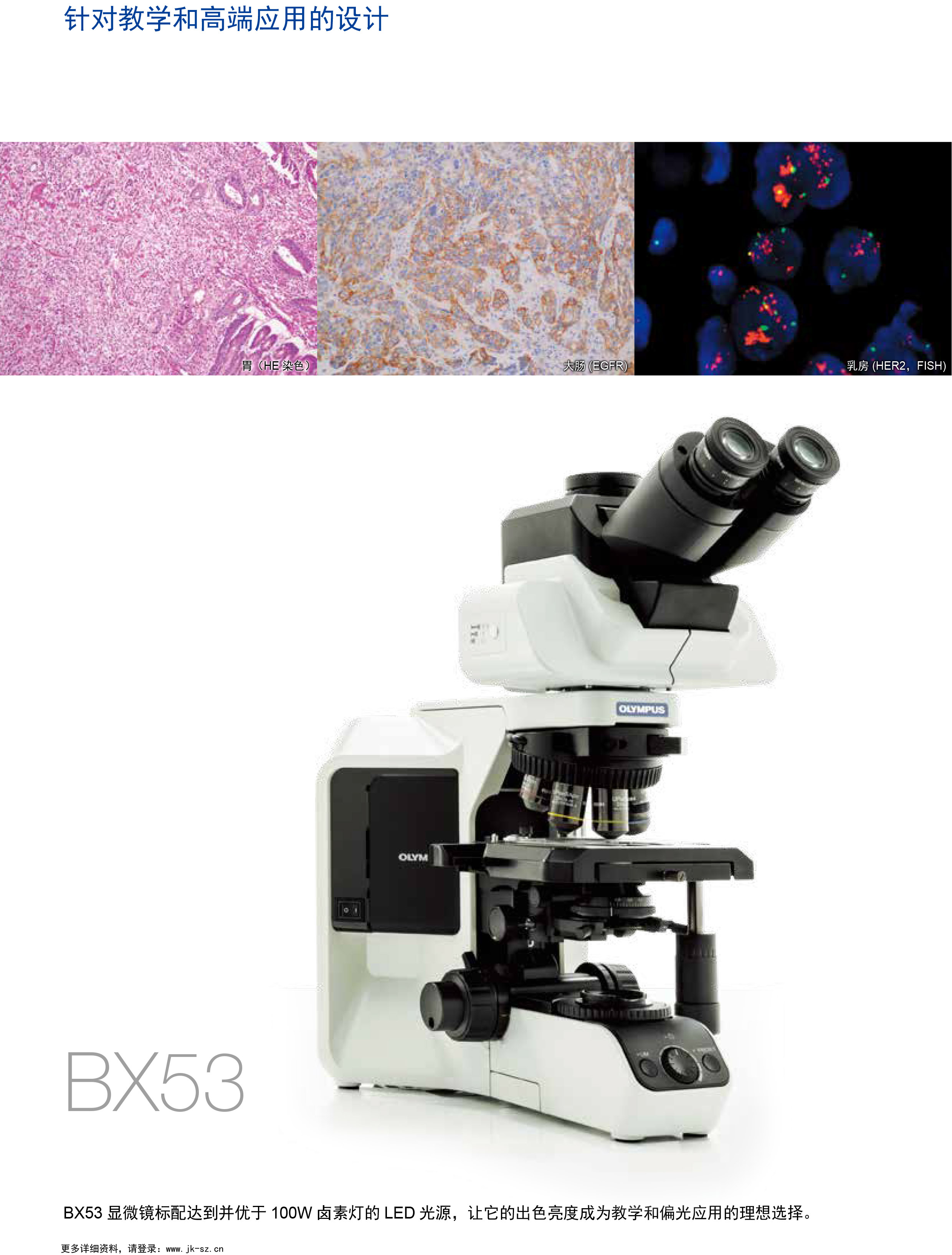 OLYMPUS BX53 正置生物显微镜，华东区代理