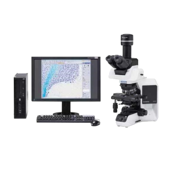 OLYMPUS BX53 正置生物显微镜，华东区代理 苏州精开仪器设备有限公司